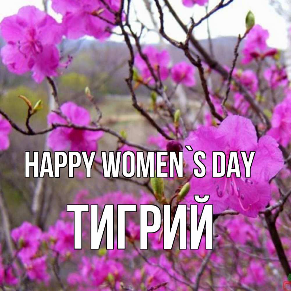 Greetings card с именем, Тигрий happy women`s day международный женский день Greetings with text for free download 